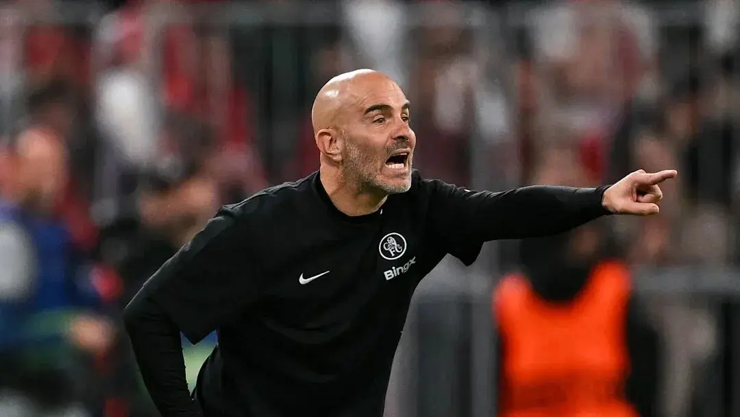 正是夏窗新, entit, 货横行 正是夏窗新, entit, 货横行