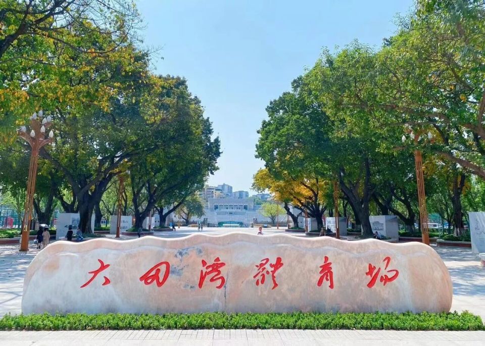 而她曾连夺, WSE田径, img